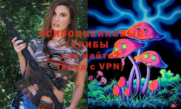 бутират Белокуриха