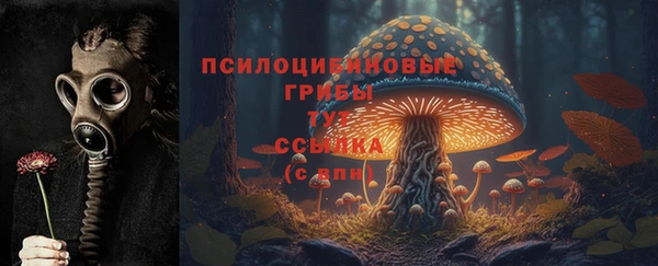 дмт Белоозёрский
