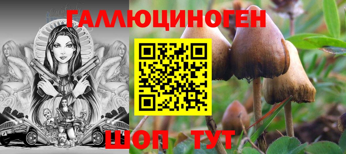 Воркута  хочу   Вход с VPN  Псилоцибиновые грибы MAGIC MUSHROOMS 