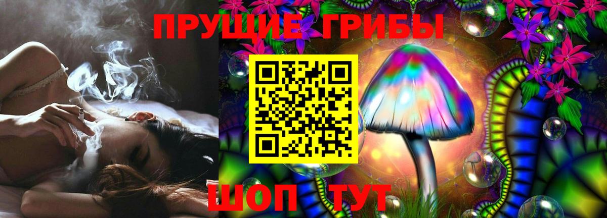 Псилоцибиновые грибы Cubensis Воркута